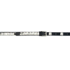 Silver Pyramid Studded Belt With Gift Box